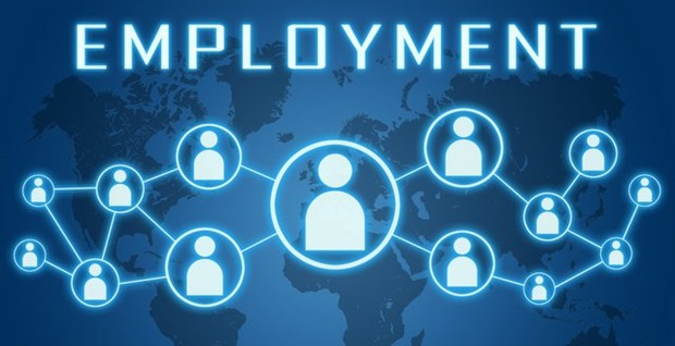 Employment History : 2 years  